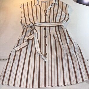 Striped Button-Down Dress with Belt